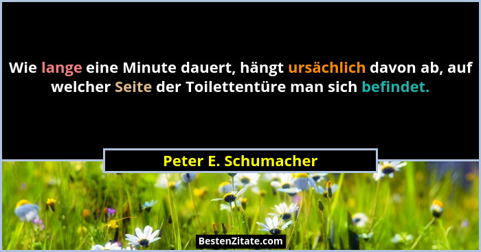 Wie lange eine Minute dauert, hängt ursächlich davon ab, auf welcher Seite der Toilettentüre man sich befindet.... - Peter E. Schumacher