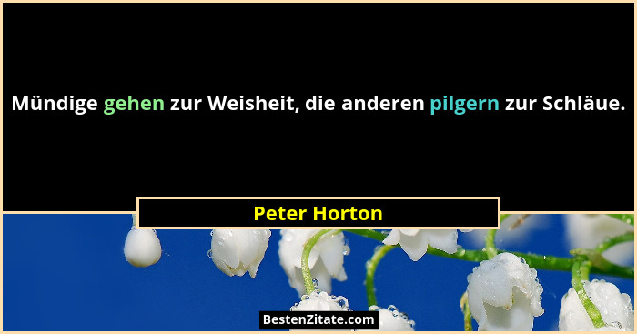 Mündige gehen zur Weisheit, die anderen pilgern zur Schläue.... - Peter Horton