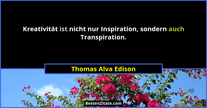 Kreativität ist nicht nur Inspiration, sondern auch Transpiration.... - Thomas Alva Edison