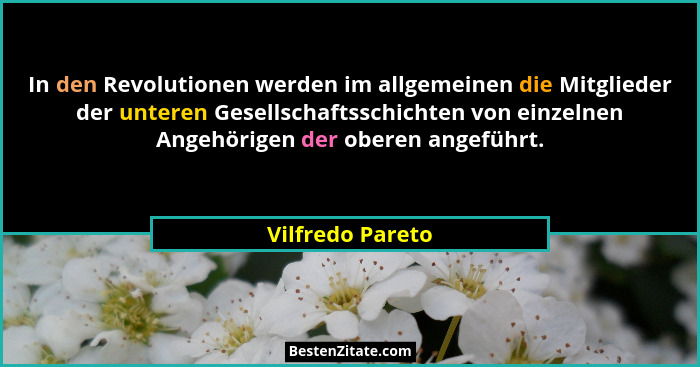 In den Revolutionen werden im allgemeinen die Mitglieder der unteren Gesellschaftsschichten von einzelnen Angehörigen der oberen ang... - Vilfredo Pareto