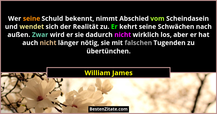 Wer seine Schuld bekennt, nimmt Abschied vom Scheindasein und wendet sich der Realität zu. Er kehrt seine Schwächen nach außen. Zwar w... - William James