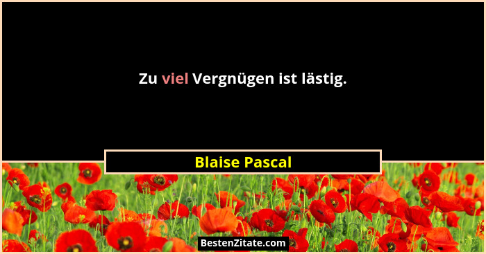 Zu viel Vergnügen ist lästig.... - Blaise Pascal