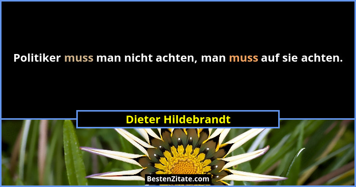 Politiker muss man nicht achten, man muss auf sie achten.... - Dieter Hildebrandt