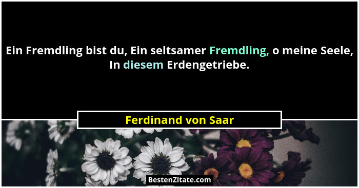 Ein Fremdling bist du, Ein seltsamer Fremdling, o meine Seele, In diesem Erdengetriebe.... - Ferdinand von Saar