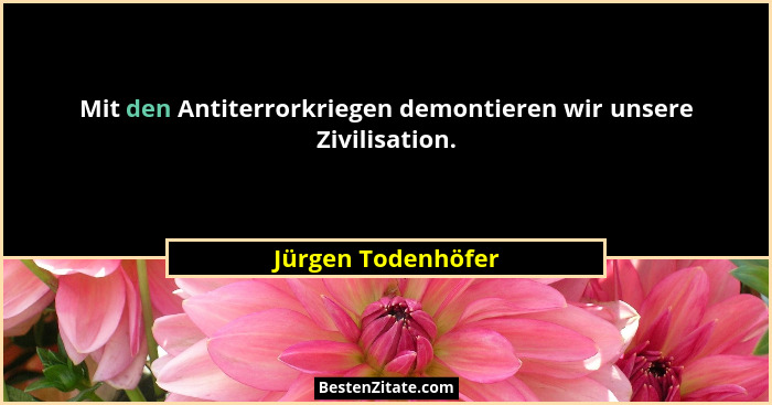 Mit den Antiterrorkriegen demontieren wir unsere Zivilisation.... - Jürgen Todenhöfer
