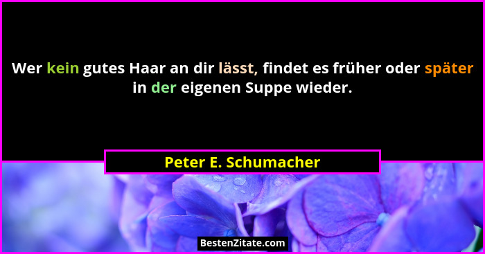 Wer kein gutes Haar an dir lässt, findet es früher oder später in der eigenen Suppe wieder.... - Peter E. Schumacher