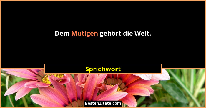 Dem Mutigen gehört die Welt.... - Sprichwort