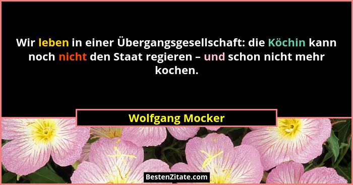 Wir leben in einer Übergangsgesellschaft: die Köchin kann noch nicht den Staat regieren – und schon nicht mehr kochen.... - Wolfgang Mocker