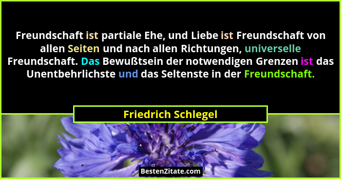 Freundschaft ist partiale Ehe, und Liebe ist Freundschaft von allen Seiten und nach allen Richtungen, universelle Freundschaft. D... - Friedrich Schlegel