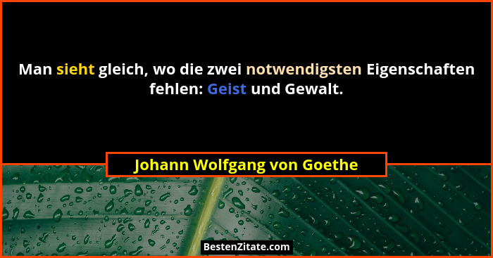 Man sieht gleich, wo die zwei notwendigsten Eigenschaften fehlen: Geist und Gewalt.... - Johann Wolfgang von Goethe