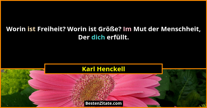 Worin ist Freiheit? Worin ist Größe? Im Mut der Menschheit, Der dich erfüllt.... - Karl Henckell