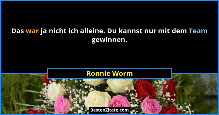 Das war ja nicht ich alleine. Du kannst nur mit dem Team gewinnen.... - Ronnie Worm