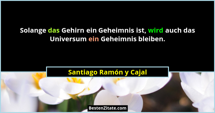 Solange das Gehirn ein Geheimnis ist, wird auch das Universum ein Geheimnis bleiben.... - Santiago Ramón y Cajal