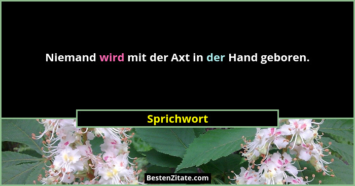 Niemand wird mit der Axt in der Hand geboren.... - Sprichwort
