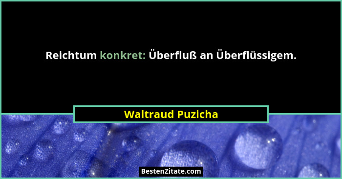 Reichtum konkret: Überfluß an Überflüssigem.... - Waltraud Puzicha