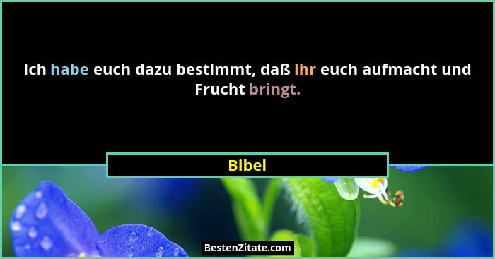 Ich habe euch dazu bestimmt, daß ihr euch aufmacht und Frucht bringt.... - Bibel
