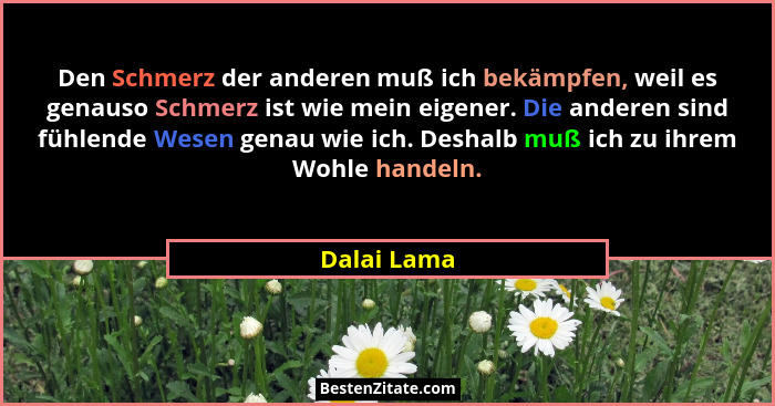 Den Schmerz der anderen muß ich bekämpfen, weil es genauso Schmerz ist wie mein eigener. Die anderen sind fühlende Wesen genau wie ich. D... - Dalai Lama