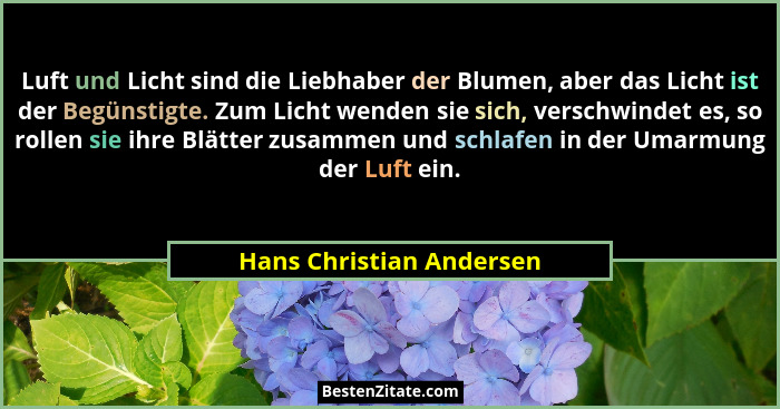 Luft und Licht sind die Liebhaber der Blumen, aber das Licht ist der Begünstigte. Zum Licht wenden sie sich, verschwindet es... - Hans Christian Andersen