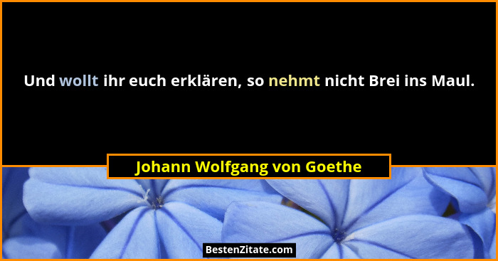 Und wollt ihr euch erklären, so nehmt nicht Brei ins Maul.... - Johann Wolfgang von Goethe