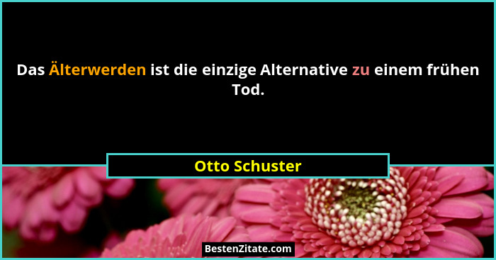 Das Älterwerden ist die einzige Alternative zu einem frühen Tod.... - Otto Schuster