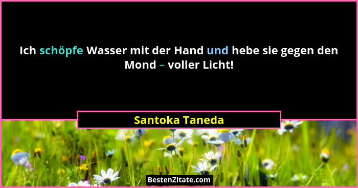 Ich schöpfe Wasser mit der Hand und hebe sie gegen den Mond – voller Licht!... - Santoka Taneda