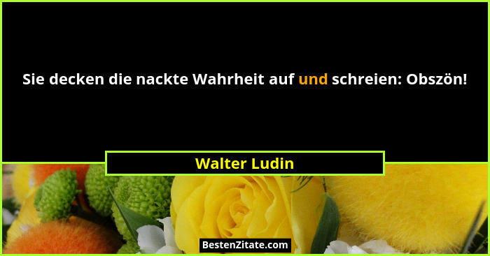 Sie decken die nackte Wahrheit auf und schreien: Obszön!... - Walter Ludin