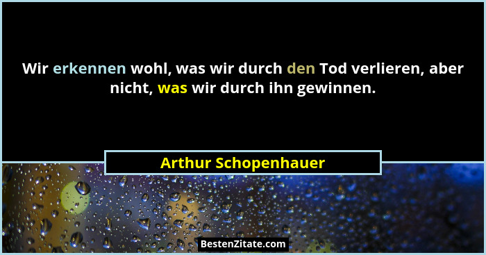 Wir erkennen wohl, was wir durch den Tod verlieren, aber nicht, was wir durch ihn gewinnen.... - Arthur Schopenhauer