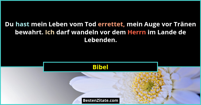 Du hast mein Leben vom Tod errettet, mein Auge vor Tränen bewahrt. Ich darf wandeln vor dem Herrn im Lande de Lebenden.... - Bibel