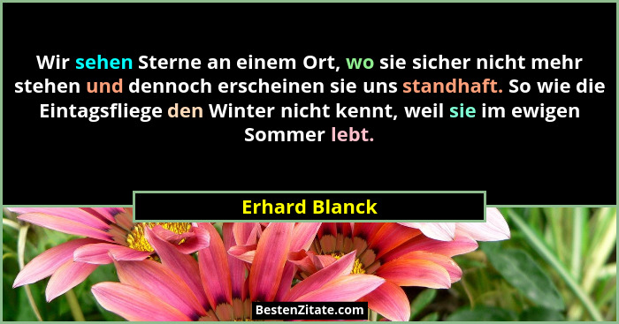 Wir sehen Sterne an einem Ort, wo sie sicher nicht mehr stehen und dennoch erscheinen sie uns standhaft. So wie die Eintagsfliege den... - Erhard Blanck