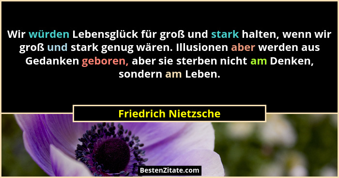 Wir würden Lebensglück für groß und stark halten, wenn wir groß und stark genug wären. Illusionen aber werden aus Gedanken gebor... - Friedrich Nietzsche