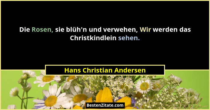 Die Rosen, sie blüh'n und verwehen, Wir werden das Christkindlein sehen.... - Hans Christian Andersen