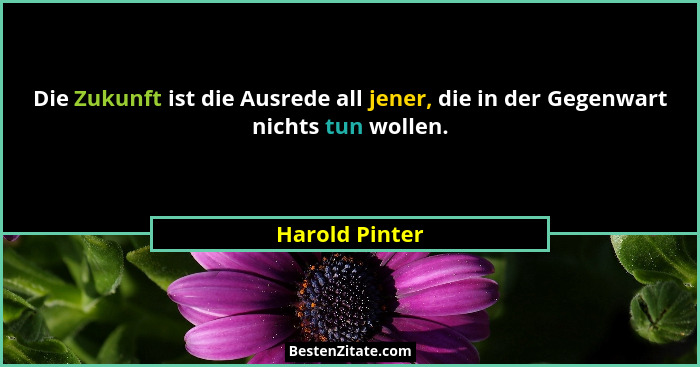 Die Zukunft ist die Ausrede all jener, die in der Gegenwart nichts tun wollen.... - Harold Pinter