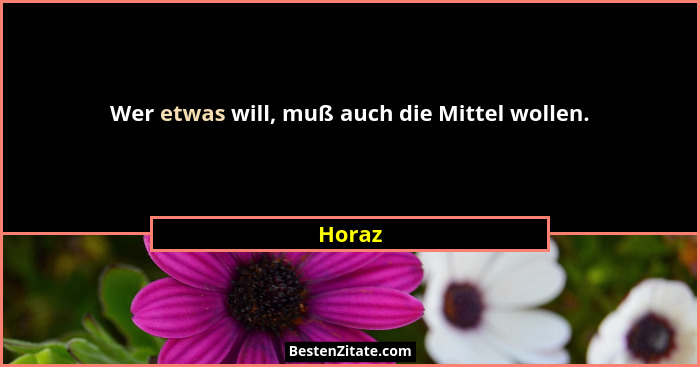 Wer etwas will, muß auch die Mittel wollen.... - Horaz