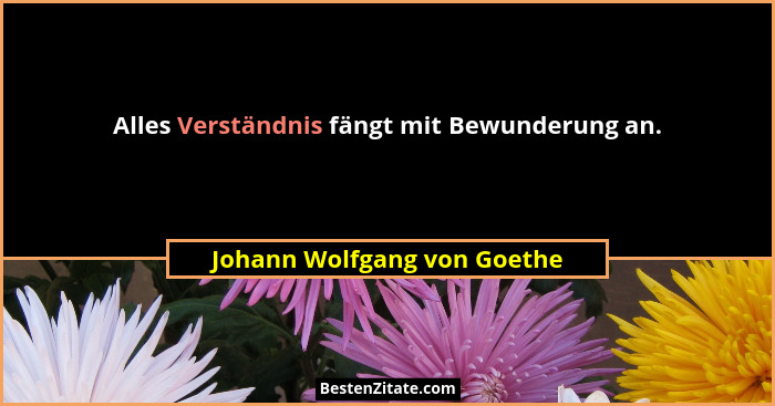 Alles Verständnis fängt mit Bewunderung an.... - Johann Wolfgang von Goethe
