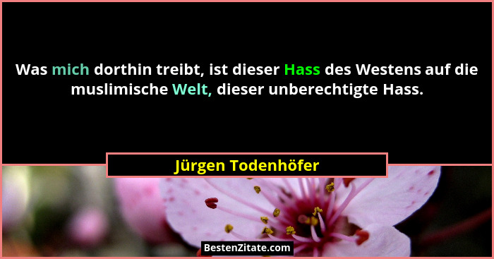 Was mich dorthin treibt, ist dieser Hass des Westens auf die muslimische Welt, dieser unberechtigte Hass.... - Jürgen Todenhöfer