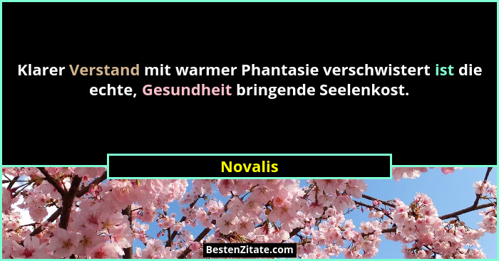 Klarer Verstand mit warmer Phantasie verschwistert ist die echte, Gesundheit bringende Seelenkost.... - Novalis