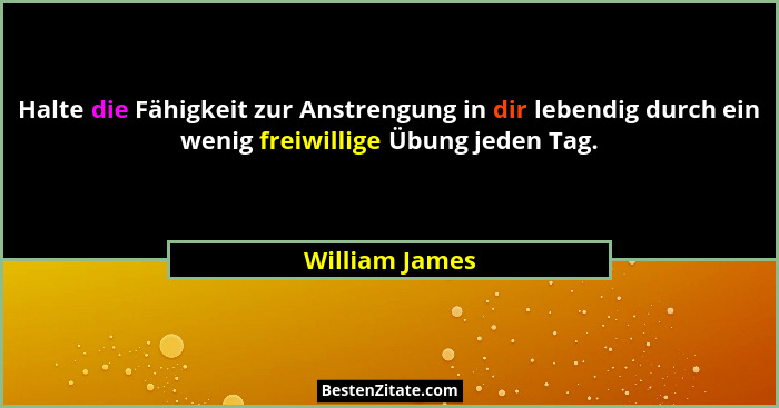 Halte die Fähigkeit zur Anstrengung in dir lebendig durch ein wenig freiwillige Übung jeden Tag.... - William James