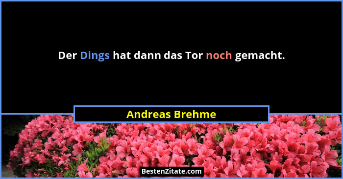 Der Dings hat dann das Tor noch gemacht.... - Andreas Brehme