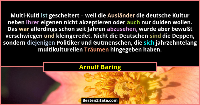 Multi-Kulti ist gescheitert – weil die Ausländer die deutsche Kultur neben ihrer eigenen nicht akzeptieren oder auch nur dulden wollen... - Arnulf Baring