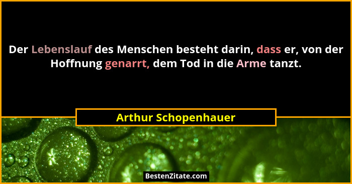 Der Lebenslauf des Menschen besteht darin, dass er, von der Hoffnung genarrt, dem Tod in die Arme tanzt.... - Arthur Schopenhauer