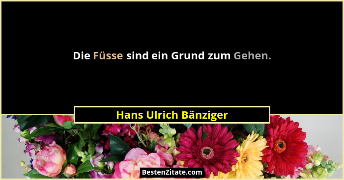 Die Füsse sind ein Grund zum Gehen.... - Hans Ulrich Bänziger