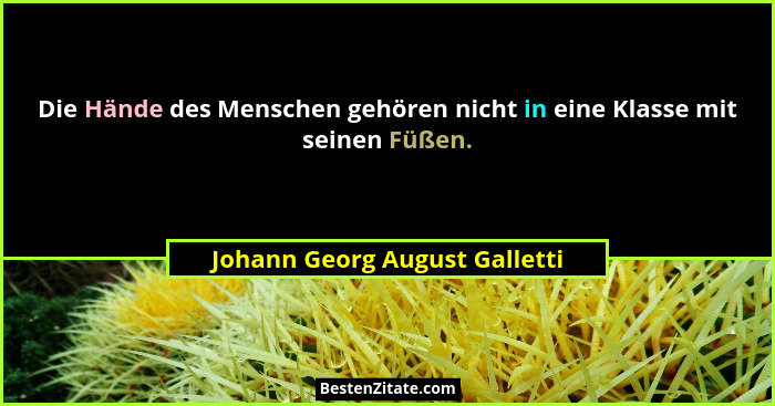 Die Hände des Menschen gehören nicht in eine Klasse mit seinen Füßen.... - Johann Georg August Galletti