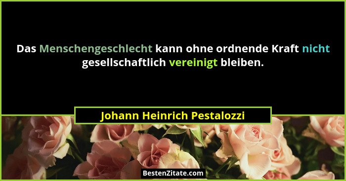 Das Menschengeschlecht kann ohne ordnende Kraft nicht gesellschaftlich vereinigt bleiben.... - Johann Heinrich Pestalozzi