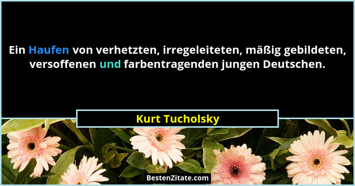 Ein Haufen von verhetzten, irregeleiteten, mäßig gebildeten, versoffenen und farbentragenden jungen Deutschen.... - Kurt Tucholsky