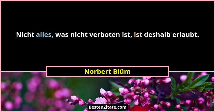 Nicht alles, was nicht verboten ist, ist deshalb erlaubt.... - Norbert Blüm