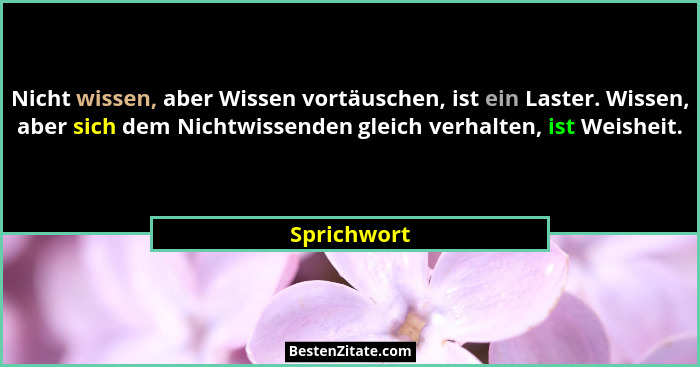 Nicht wissen, aber Wissen vortäuschen, ist ein Laster. Wissen, aber sich dem Nichtwissenden gleich verhalten, ist Weisheit.... - Sprichwort