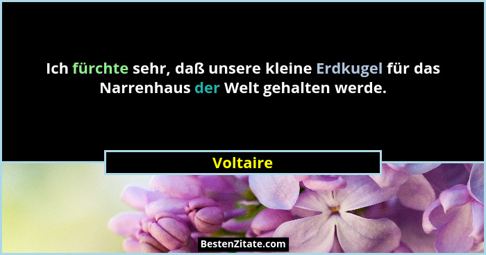 Ich fürchte sehr, daß unsere kleine Erdkugel für das Narrenhaus der Welt gehalten werde.... - Voltaire