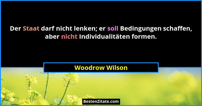 Der Staat darf nicht lenken; er soll Bedingungen schaffen, aber nicht Individualitäten formen.... - Woodrow Wilson
