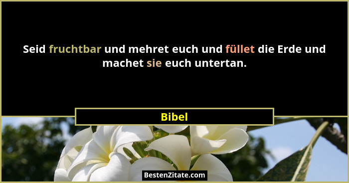 Seid fruchtbar und mehret euch und füllet die Erde und machet sie euch untertan.... - Bibel