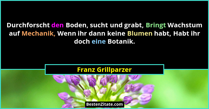Durchforscht den Boden, sucht und grabt, Bringt Wachstum auf Mechanik, Wenn ihr dann keine Blumen habt, Habt ihr doch eine Botanik... - Franz Grillparzer